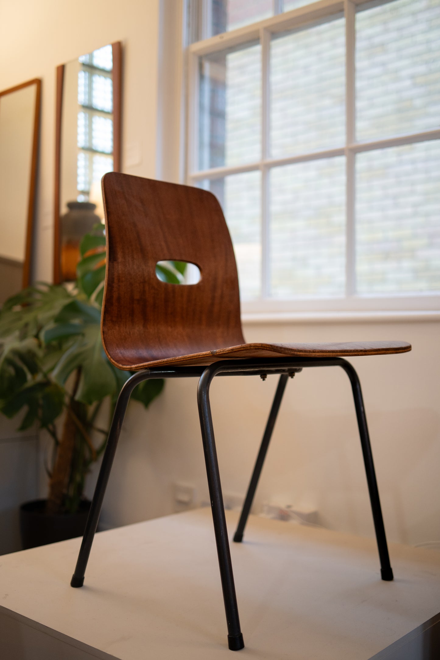 Q Cherrywood Q stack chairs (1953) by Robin Day for Hille